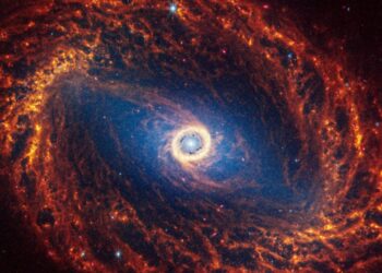 一組驚人圖像曝光 韋伯望遠鏡捕捉到19個螺旋星系