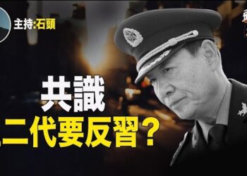【頭頭是道】袁紅冰選文：紅二代達成反習共識；危機一觸即發，外資急速撤離。主持：石頭