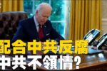 香港希望之聲 香港希望之聲