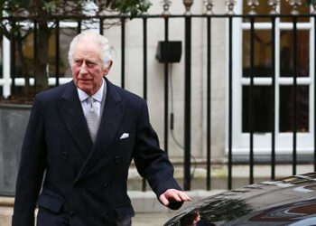 英相透露查爾斯病況 若病重誰來代理？