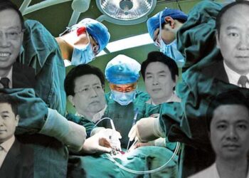 倡議書吁廢除中共器官移植惡法