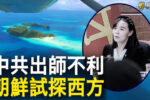 香港希望之聲 香港希望之聲