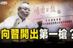 香港希望之聲