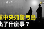 香港希望之聲 香港希望之聲