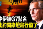 香港希望之聲