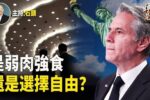 香港希望之聲 香港希望之聲