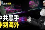 香港希望之聲