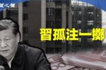 香港希望之聲