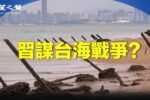 香港希望之聲
