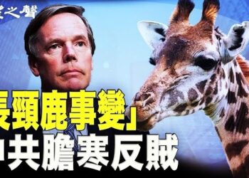 【兩岸三地】十萬股民變反賊！美駐華使館「長頸鹿事變」衝塔；當局為減壓將律師余文生夫婦跨省關押 主播：芬妮