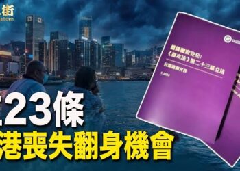 【唐人街】劉德華做京官，是喜還是憂？強立23條，切斷香港的生路.