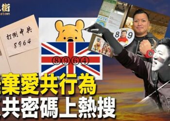 【唐人街】小粉紅想要在國外撒野現在需要三思了，不是醜態百出、自取其辱的話就是將被起訴遣返回大陸。