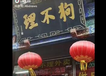 從「慶豐包子」習近平現身天津點評“狗不理”預示中共端倪