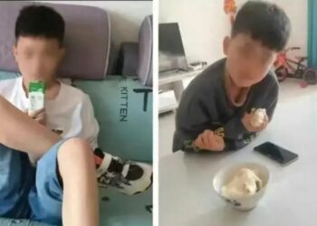 韓紅為邯鄲遇害學生發聲 王子耀父親發視頻卻遭下架
