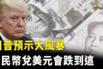 香港希望之聲