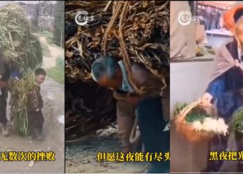習上台之初提出實現「中國夢」 多年後中國人終於明白了…