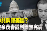 香港希望之聲 香港希望之聲
