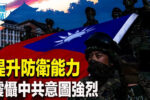 香港希望之聲