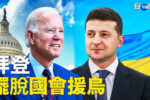 香港希望之聲 香港希望之聲