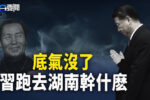 香港希望之聲 香港希望之聲