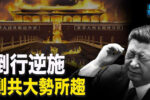 香港希望之聲 香港希望之聲