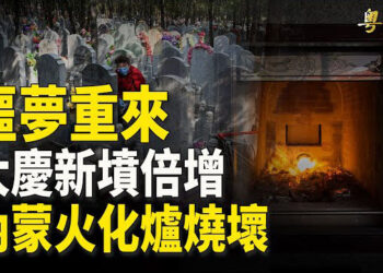【粵覽新聞】新病毒席捲中國？民間求救 ；習近平將會見美商界菁英吸引外資：專家評沒用 主播：李冬梅