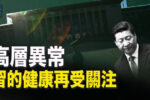 香港希望之聲