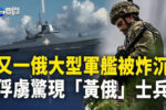 香港希望之聲 香港希望之聲