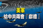 香港希望之聲