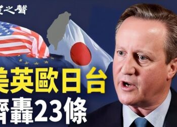 【香港新聞】23條模糊空泛損自由 英美歐日台接連炮轟 ； LED花海隱喻「一路走好」亦或「沉默閉嘴」？