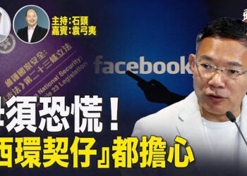 【頭頭是道】連自己投票通過的23條都不相信，謝偉俊自我審查；剛剛見完外企高管，馬上宣傳提防間諜；主持：石頭 嘉賓：袁弓夷