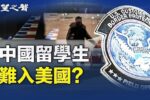 香港希望之聲