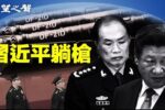 香港希望之聲