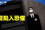 香港希望之聲