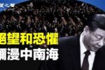 香港希望之聲