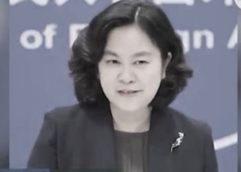 港媒：華春瑩「有喜」？