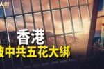 香港希望之聲 香港希望之聲