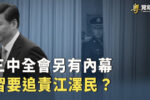 香港希望之聲