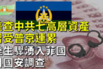 香港希望之聲