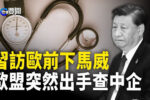 香港希望之聲
