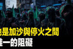 香港希望之聲 香港希望之聲