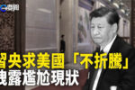 香港希望之聲