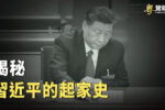 香港希望之聲 香港希望之聲