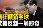 香港希望之聲