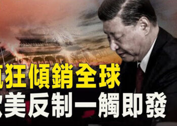 【新聞熱點】習近平丟人了！一主張被外媒批為毫無用處 李强會面美財長背鍋；以色列國防軍撤離加沙南部 以防長：準備進攻拉法   主播： 張恩