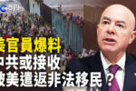 香港希望之聲 香港希望之聲