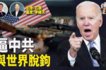 香港希望之聲