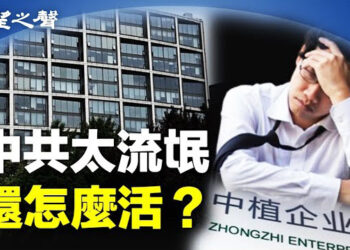 【兩岸三地】中植人敲響警鐘 普通打工人小心；寶林案傳離奇巧合 主播：林詩明