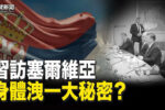 香港希望之聲 香港希望之聲