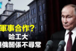 香港希望之聲